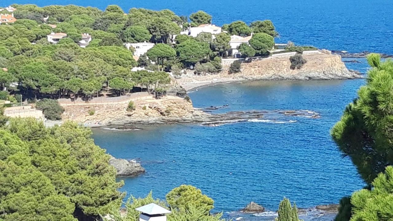 L'Armonia Entre La Farella I Cau Del Llop Lägenhet Llança Exteriör bild